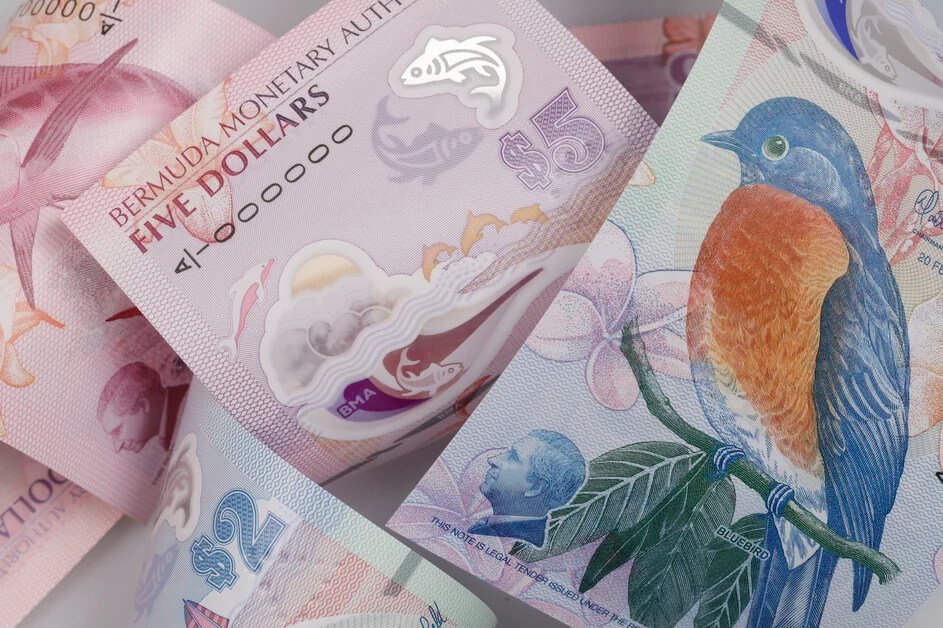 Polymer Banknotes